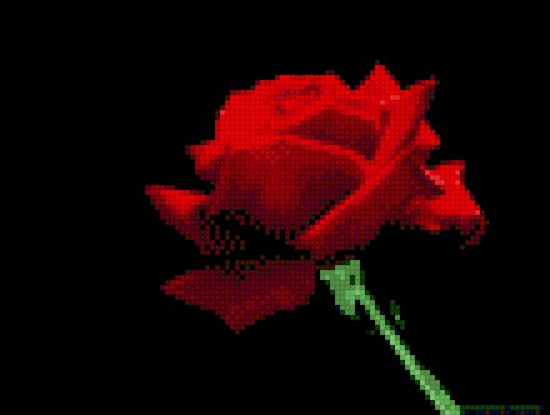 розочка - роза.розочка - предпросмотр