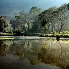 Схема вышивки «Природа»