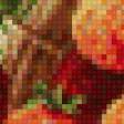Предпросмотр схемы вышивки «№834096»