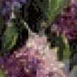 Предпросмотр схемы вышивки «серия "сирень"» (№834201)