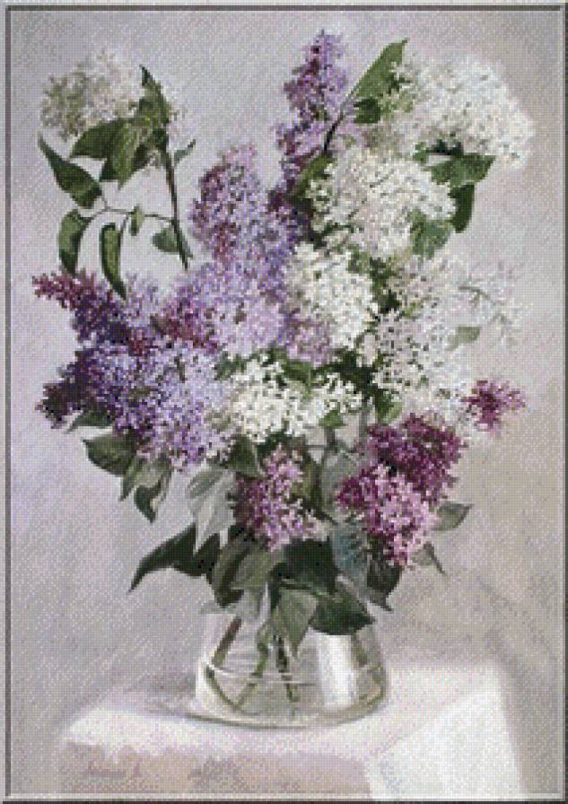 серия "сирень" - цветы.букеты.сирень - предпросмотр