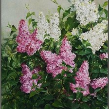 Схема вышивки «серия "сирень"»