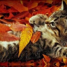 Схема вышивки «№834233»