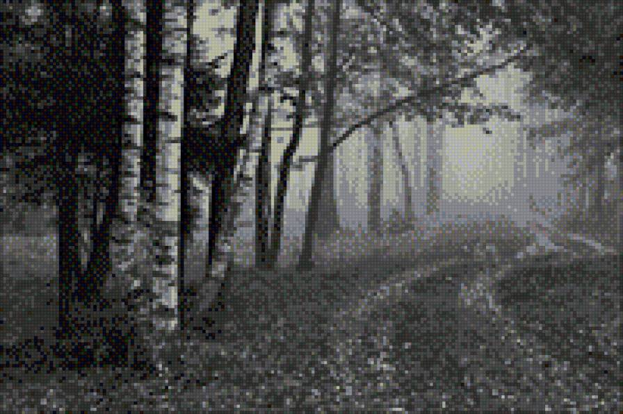 В тумане - черно-белое, пейзаж, монохром - предпросмотр