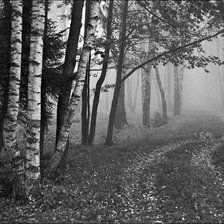 Схема вышивки «В тумане»