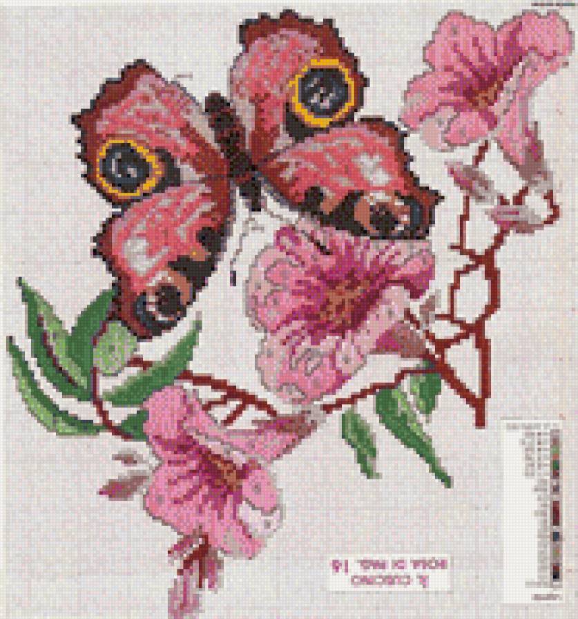 Бабочка на цветке - бабочка, цветок - предпросмотр