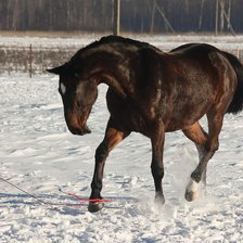 Схема вышивки «Gj»