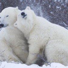 Схема вышивки «Медведи»