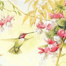 Схема вышивки «колибри с фуксией, акварель»
