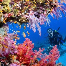 Схема вышивки «морское царство»