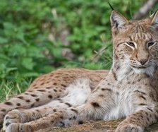 Схема вышивки «на отдыхе»