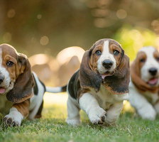 Схема вышивки «друзья»