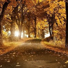 Схема вышивки «осинь»