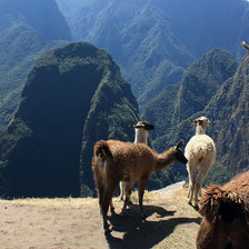 Схема вышивки «перу»