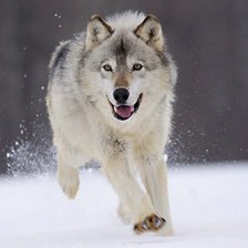 Схема вышивки «№834696»