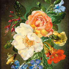 Схема вышивки «№834769»