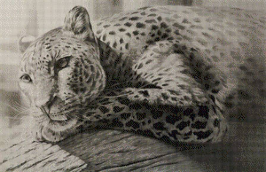 киса - предпросмотр