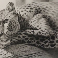 Схема вышивки «киса»