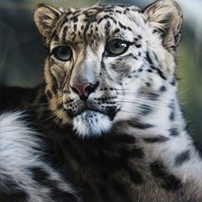 Схема вышивки «№834817»