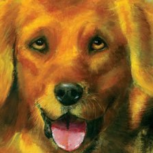 Схема вышивки «барбос»