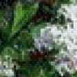Предпросмотр схемы вышивки «сирень» (№834829)