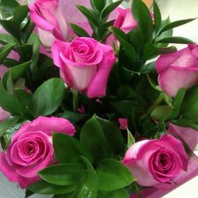 Схема вышивки «№834890»