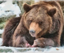 Схема вышивки «отдых»