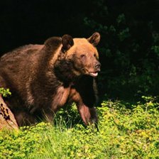 Схема вышивки «мишки»