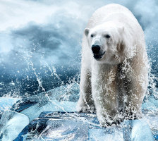 Схема вышивки «мишки»