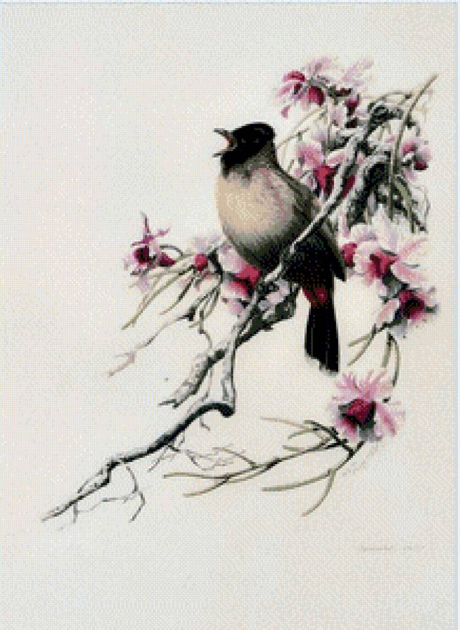 Zeng Xiao Lian, птица на ветке - розовые цветы, птица - предпросмотр