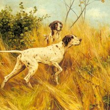 Схема вышивки «собаки»