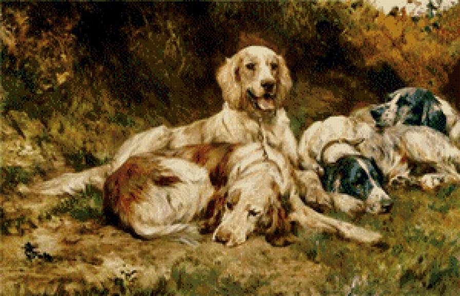 собаки - жывотные - предпросмотр