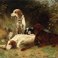 Схема вышивки «собаки»