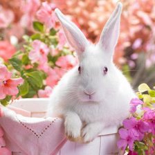 Схема вышивки «№835024»