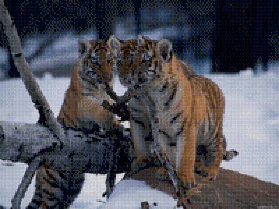 №835055 - предпросмотр