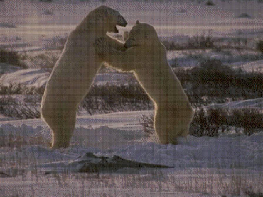 сила - жывотные - предпросмотр