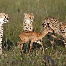 Схема вышивки «друзья»