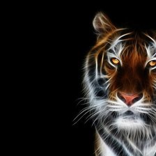 Схема вышивки «тигр»