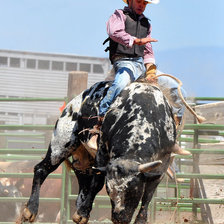 Схема вышивки «родео»
