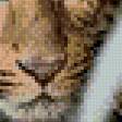 Предпросмотр схемы вышивки «тигер» (№835178)