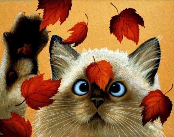 котёнок и листик - кошки, животные - оригинал