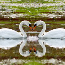 Схема вышивки «лебеди»