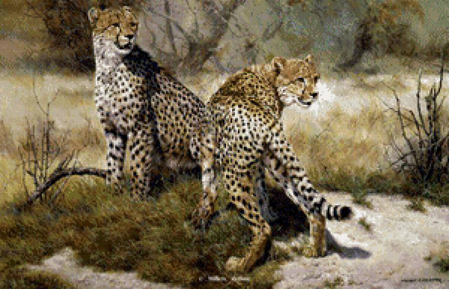 тигер - жывотные - предпросмотр