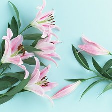 Схема вышивки «цветы»