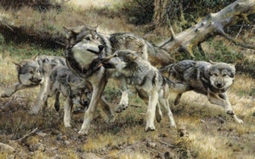 стая - жывотные - предпросмотр