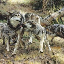 Схема вышивки «стая»