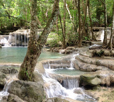 Схема вышивки «природа»