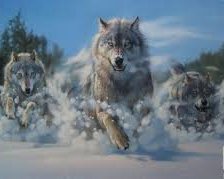 Схема вышивки «волки»