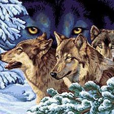 Схема вышивки «волчий взгляд»