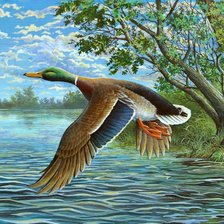 Схема вышивки «утка»